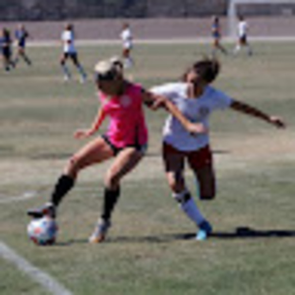 Meet your Posher, Grace - Picture 1 of 1